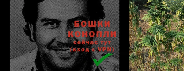 твердый Белокуриха